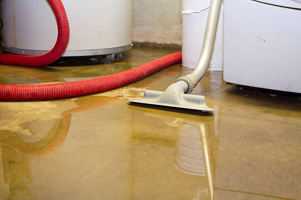 Best Sewage cleanup and water damage restoration  in New Milford, NJ