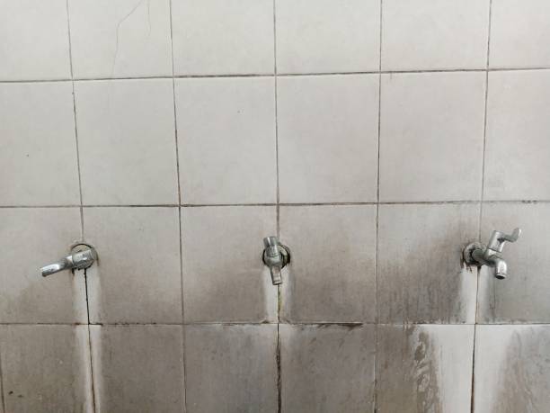 Best Water damage cleanup near me  in New Milford, NJ