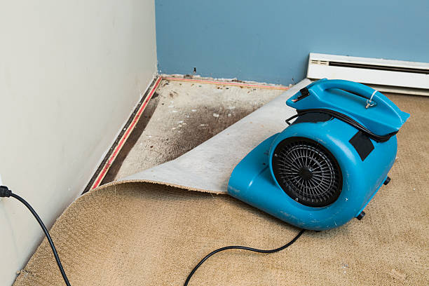 Best 24/7 water damage repair  in New Milford, NJ